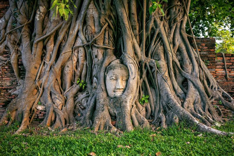 Chùa Wat Mahathat: Khám phá di tích cổ kính nơi cố đô Ayutthaya