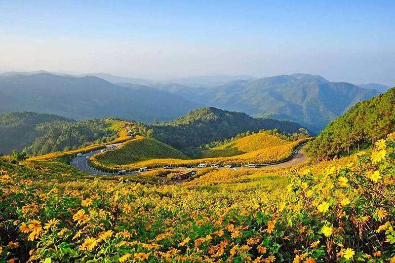 Nên đi du lịch Chiang Mai vào mùa nào?