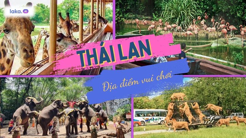 Top 8 show đặc sắc tại Safari World Bangkok mà bạn không thể bỏ qua!