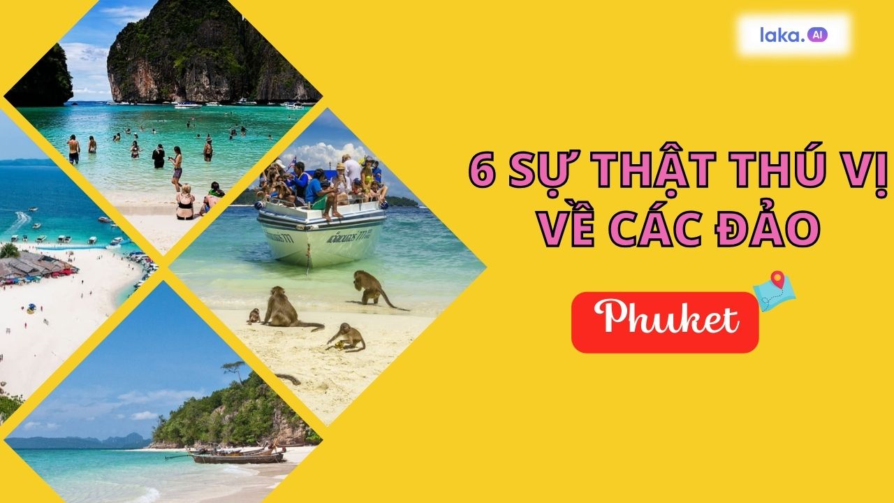 Top 6 sự thật thú vị về các địa điểm trong tour Phi Phi Phuket