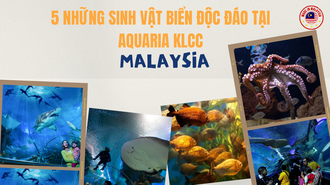 Top 5 Những Sinh Vật Biển Độc Đáo Tại Aquaria KLCC