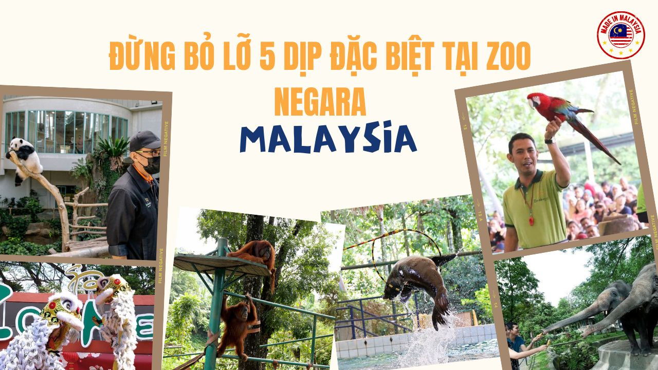 Trải nghiệm độc đáo với 5 sự kiện đặc biệt tại Zoo Negara
