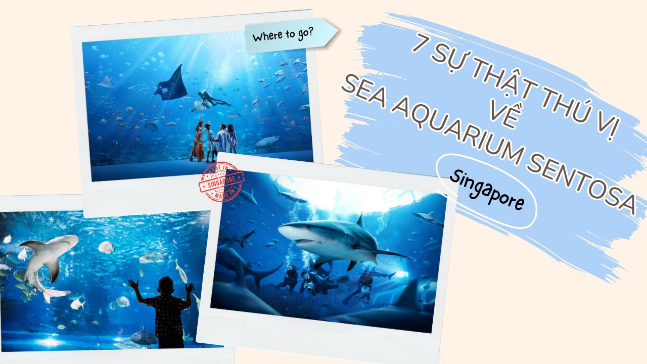 7 sự thật thú vị về SEA Aquarium Sentosa có thể bạn chưa biết